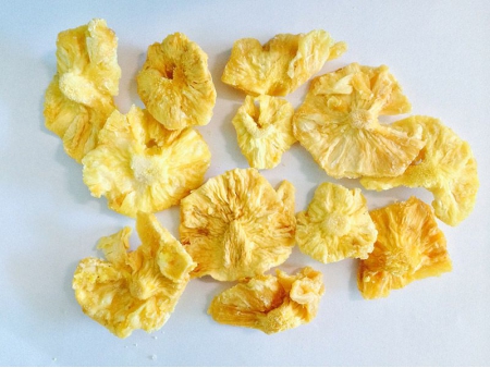 Secador de Cinta Continua/ Deshidratador