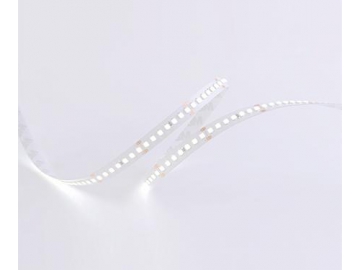 Tira LED flexible para interiores  10mm 24V D8168