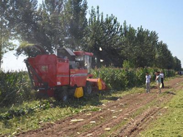 Cosechadora recolectora de maíz y forraje 4YZ-4BH