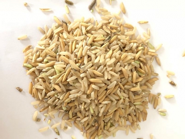 Descascarador de arroz con aspirador, máquina para grano perlado SYX-MLGQ