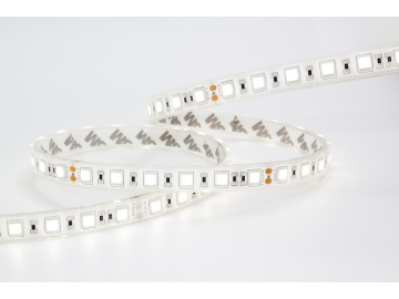 Tira LED SMD5050 impermeable IP68