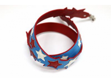Accesorios de piel 