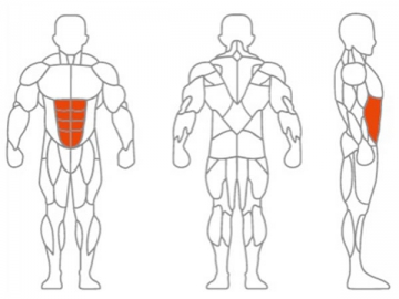 Máquina para crunch abdominal