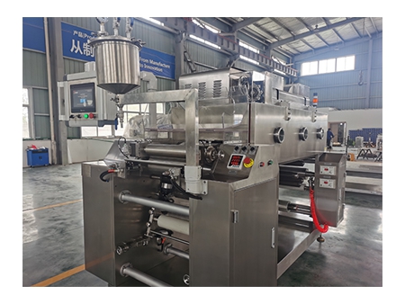 Máquina automática para la producción de película delgada oral