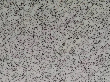 Planchas de acrílico estampado
