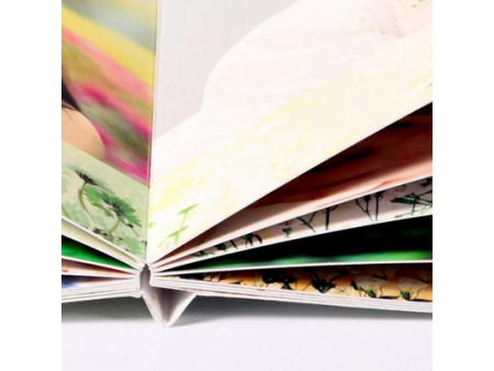 Máquina de montaje y encolado de libros de cartón, WT-007DBJ