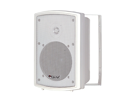 Altavoz profesional, Parlante profesional