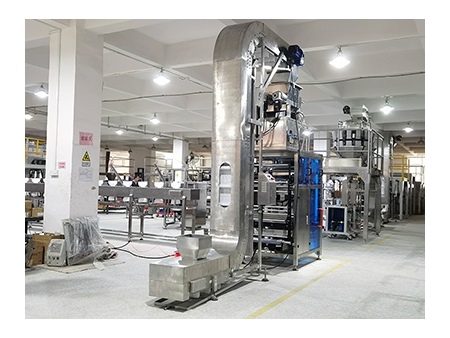 Envasadora de Hielo con Báscula Lineal de 2 Cabezales, SK-L720