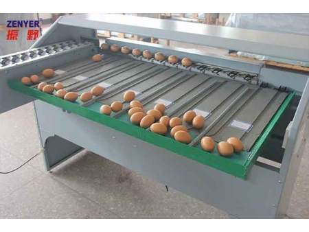 Clasificadora de huevos 101B (4000 HUEVOS/HORA)
