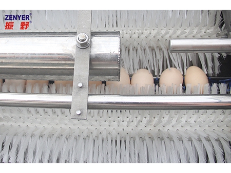 Lavadora de huevos 200A (3000 huevos/hora)
