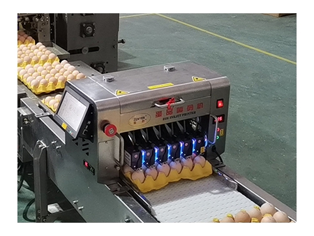 Máquina Empacadora de Huevos 714 (55,000 huevos/hora)