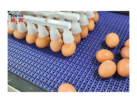 Línea de procesamiento de huevos 303AS, con lavado y clasificación (20.000 huevos por hora)