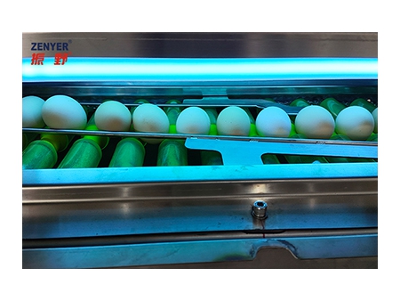 Línea de procesamiento de huevos 303AS, con lavado y clasificación (20.000 huevos por hora)