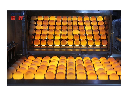 Línea de procesamiento de huevos 304A, con limpieza y clasificación (30.000 huevos por hora)