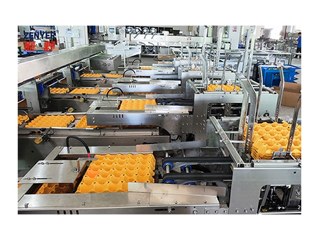 Línea de procesamiento de huevos 304A, con limpieza y clasificación (30.000 huevos por hora)