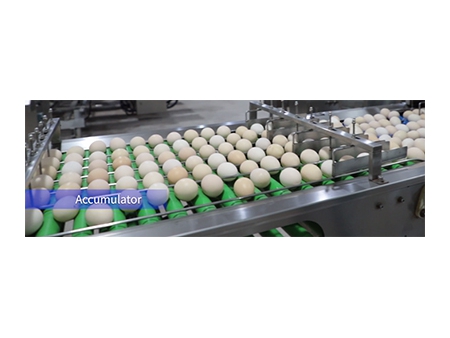 Línea de procesamiento de huevos 305A, con limpieza y clasificación (60.000 huevos/hora)