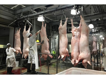 Planta Procesadora de Carne de Cerdo para Chaishan Foods