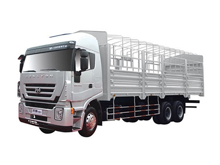 Camión de carga 6×4 Euro IV (Kingkan)
