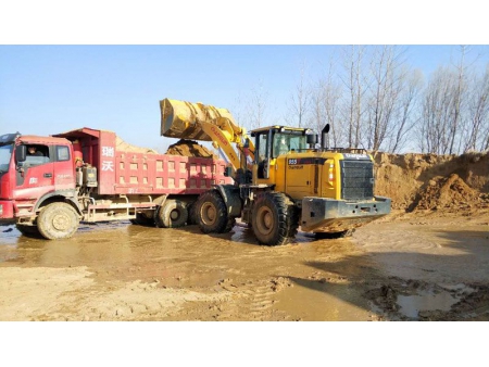 Cargador de ruedas 955T