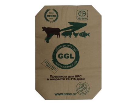 Fondeadora para Sacos Valvulados de Papel (Un Extremo Encolado), FM2018