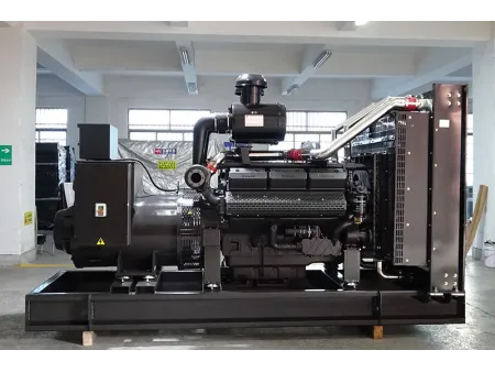 Grupo electrógeno diésel 600kW-1000kW
