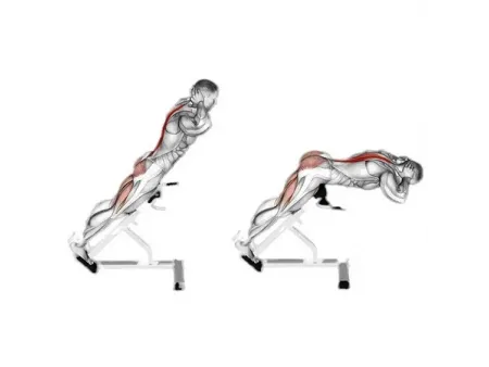 Bancos de musculación