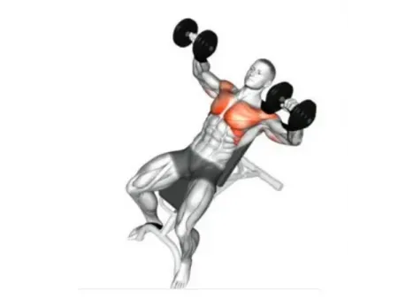Bancos de musculación