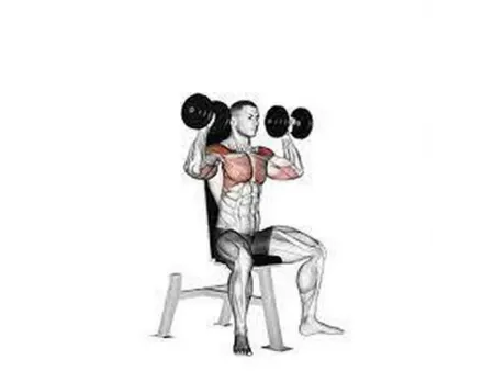Bancos de musculación