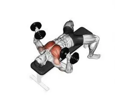 Bancos de musculación