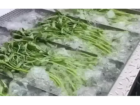 Equipos de lavado para frutas y vegetales