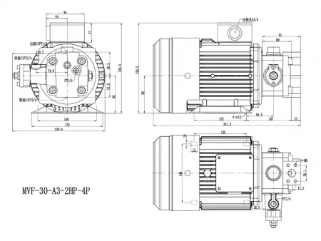 Conjuntos de bomba y motor   (Unidad de bomba/motor de paletas)
