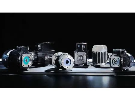 Motores eléctricos de eje hueco para bombas hidráulicas