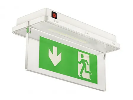 Señal de salida de emergencia LED IP65 a prueba de agua (21 LED SMD3528), LE515-21