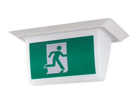 Señal de salida de emergencia LED estanca e impermeable (20 LED SMD2835), LE518