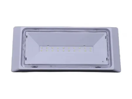 Señal de salida de emergencia LED estanca e impermeable (20 LED SMD2835), LE518