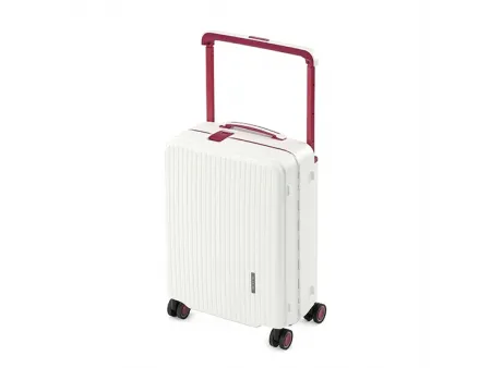 Maleta para facturar de 24