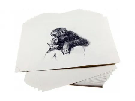 Papel para bocetos (Papel para dibujo)