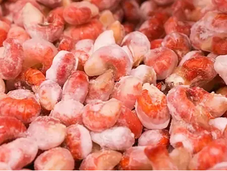 Máquina de glaseado con hielo